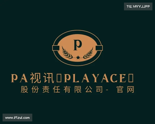 知道PA视讯（PlayAce） 股份责任有限公司- 官网